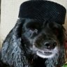 Фото профиля Dogsnuggler