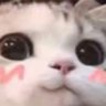 Profilbild von NICOROBIN00