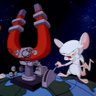 Thinky and the Brain 的头像