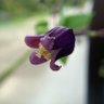 Фото профиля tomokomomoko