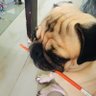 HMM 的头像