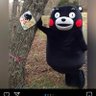 たかはし永世名人's profile picture