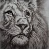 Paramjit Singh's profile picture