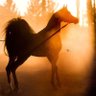 Фото профиля شموخ العزززز