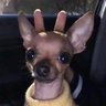 Sam Sara's profile picture