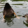 ぽんこ♪ profil fotoğrafı
