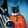 P.J._I.AM.HIM.'s profile picture