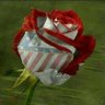 Profilbild von @jesus_nav2❤️🤍🌹🇯🇴