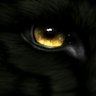 Black Wolf 的头像