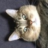Фото профиля たかまき