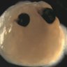 patient tony's profile picture
