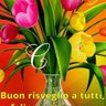 Adele Battisti's profile picture