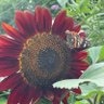 #itsallgood profil fotoğrafı