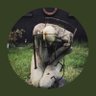 Desila's profile picture