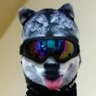 oonami sakana's profile picture