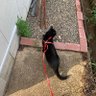 Фото профиля 男性看護師
