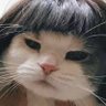 Profilbild von —•ï¡÷¡ï•วอร์ว่อว้อว๊อว๋อ•ï¡÷¡ï•—