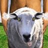 Bray Fentos's profile picture