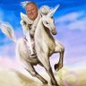 Adam Hymas's profile picture