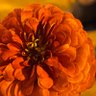 عبدالله's profile picture