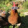 Profilbild von Mr.sir