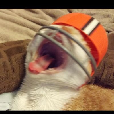 LegendaryEgos's profile picture