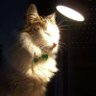 Profilbild von Rosie3350
