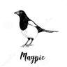 Magpie profil fotoğrafı