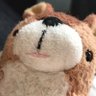 Profilbild von のりり