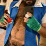 Profilbild von GimmeBears