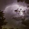 Thunder Frog profil fotoğrafı