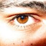 Nuno Silva's profile picture