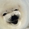 Profilbild von Jebe/Vulgros