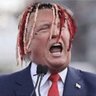 Profilbild von Donald Pump