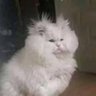 Profilbild von John