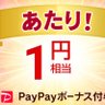 セカスト profil fotoğrafı
