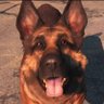 Profilbild von Nelson Gonzalez