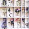 Фото профиля sara