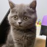 Sevda profil fotoğrafı