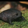 ESTPolo Riojas 的头像
