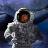 LunarCaveman 的头像