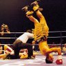 Boxing420uk 🍁 profil fotoğrafı
