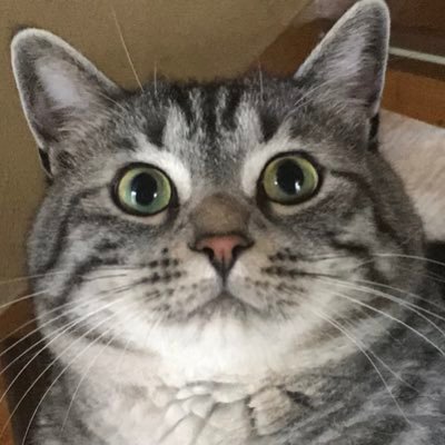 Rasen5678's profile picture