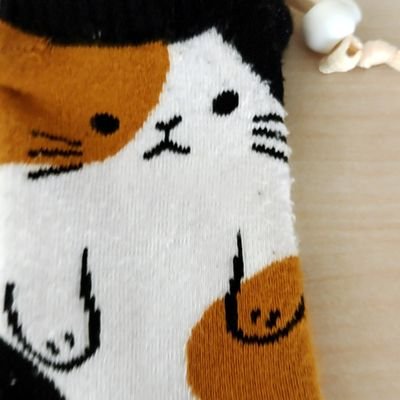 WgkLjmL6VeYfBwk's profile picture