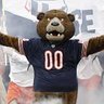 TheFakeStaleyDaBear 🐻⬇️ 🏳️🌈✡️'s profile picture