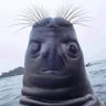 ɹnʇsɐH's profile picture