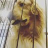 Фото профиля やーすけ