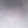 slot's profile picture