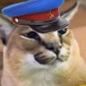 Commissar Floppa 🇺🇸 的头像