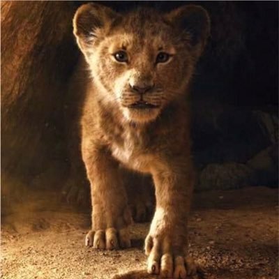 Nikelodeon2021's profile picture